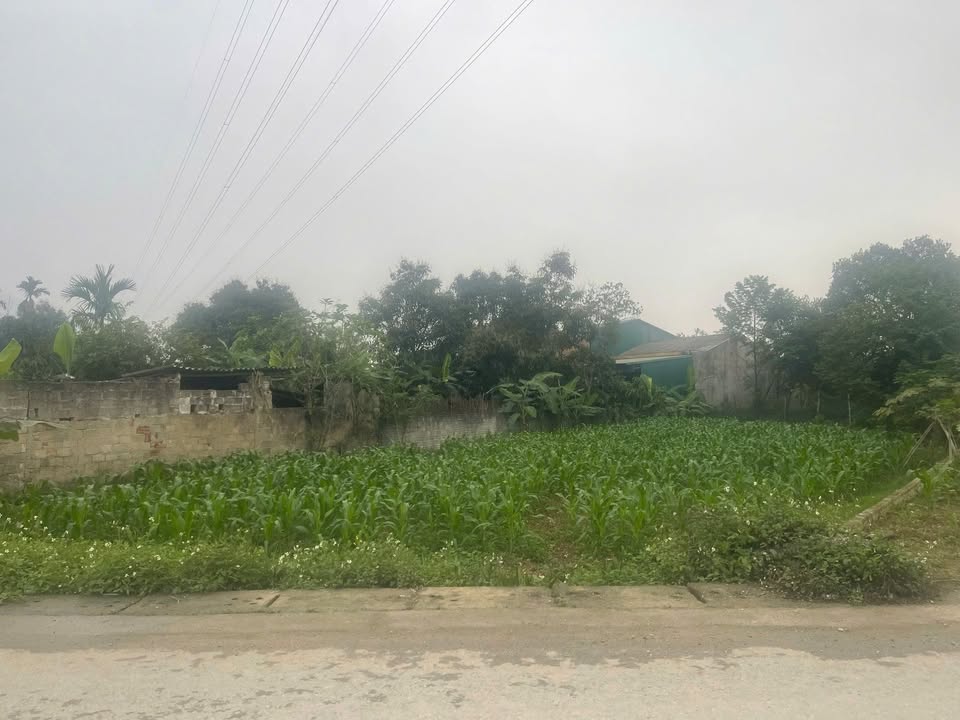 Đất nền Thái An, Quản Bạ, 838m² giá 3,5 tỷ - Phong thủy tốt, gần Viện A mới!