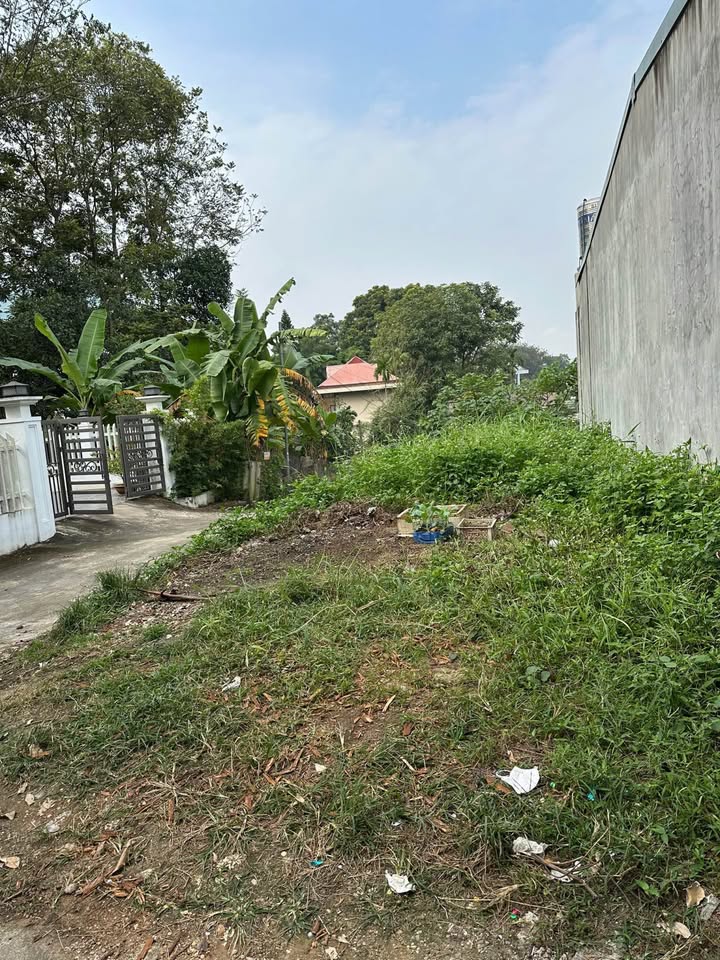 Đất nền Tổ 13, Phường Minh Xuân, TP Tuyên Quang 100m² giá 1.7 tỷ - Sổ đỏ chính chủ