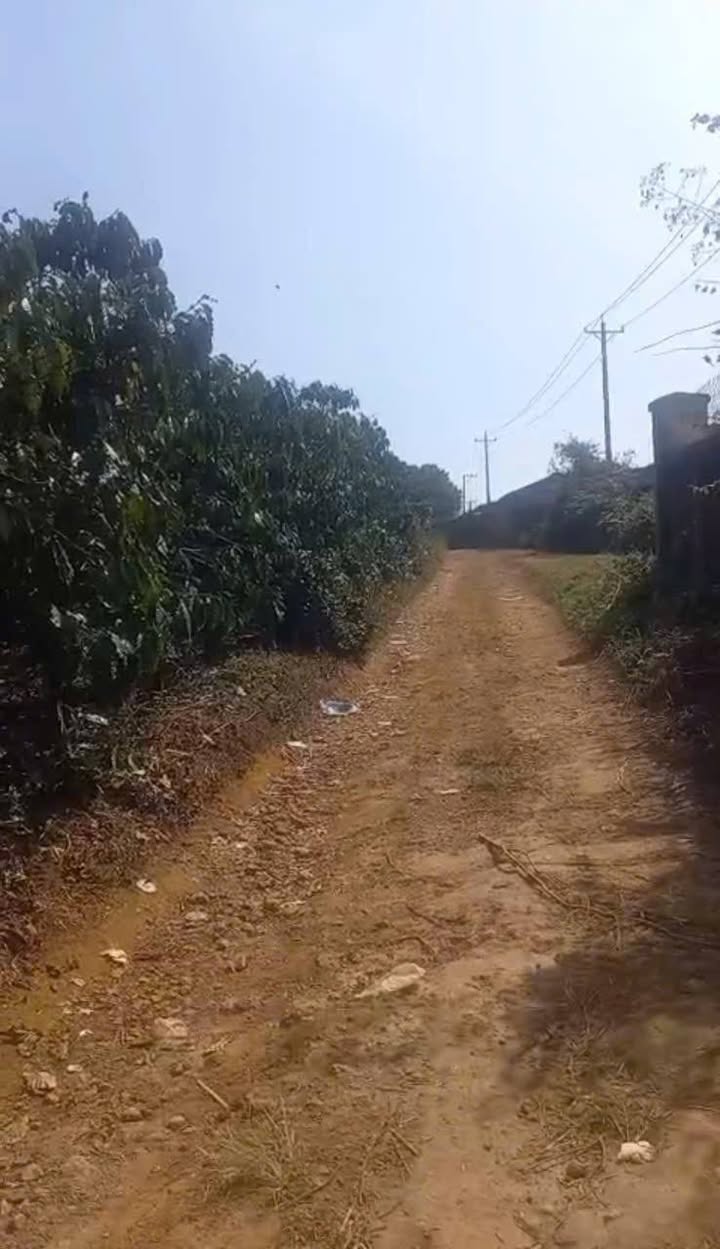 Đất nền đẹp tại Lộc Quảng, Bảo Lâm 2340m² giá chỉ 2.34 tỷ - Cơ hội đầu tư hấp dẫn!