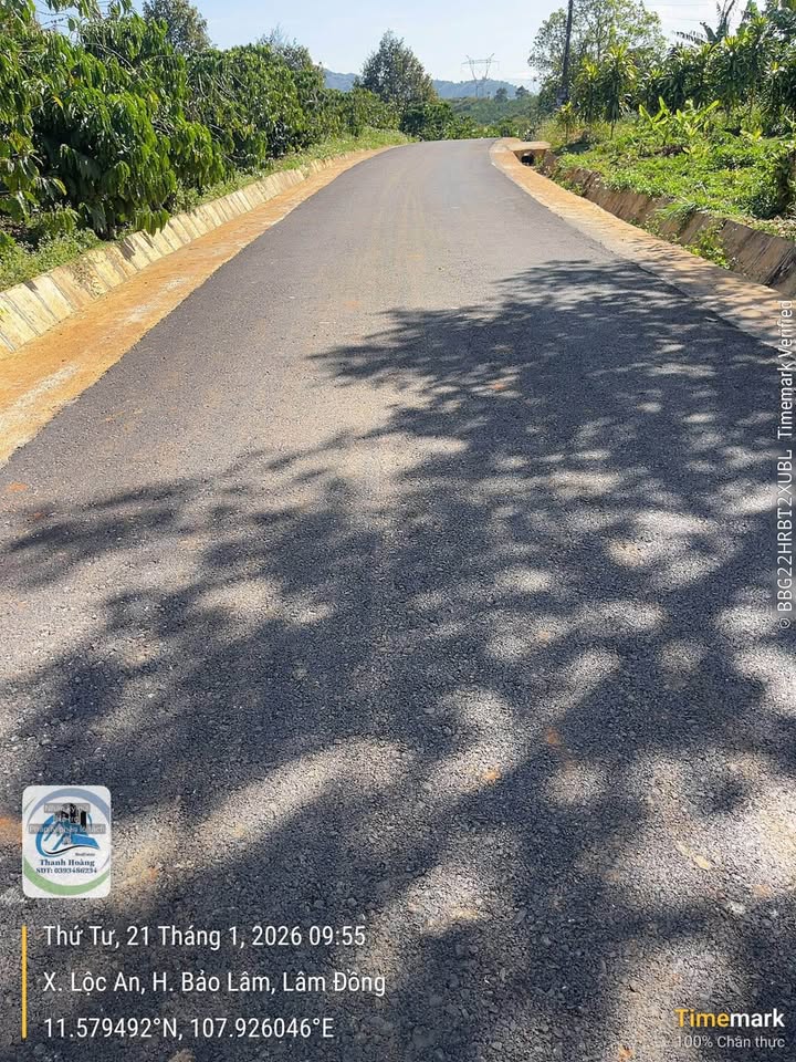 Đất nền xã Lộc An, huyện Bảo Lâm 972m² giá 2.35 tỷ - Cơ hội đầu tư hấp dẫn!