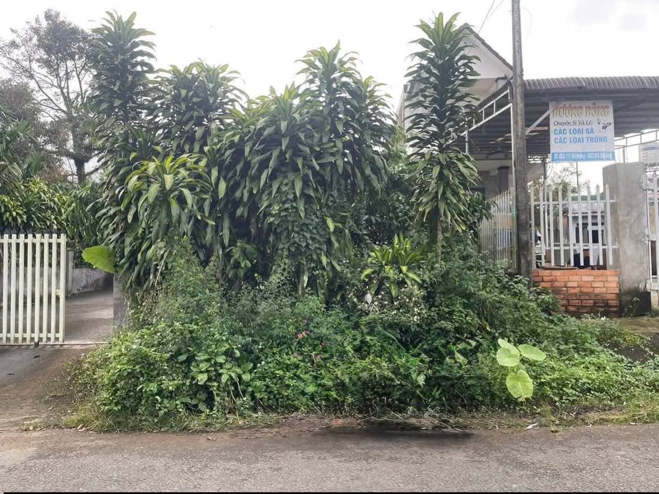 Đất mặt tiền nhựa xã Lộc Nga, Bảo Lộc, 342m² chỉ 1.9 tỷ - Cơ hội đầu tư tốt!