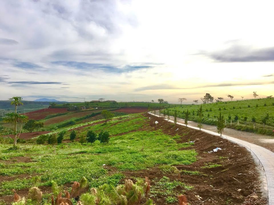 Đất nền Lộc Quảng, Bảo Lâm 400m² giá chỉ 1.3 tỷ - Cơ hội đầu tư lý tưởng!