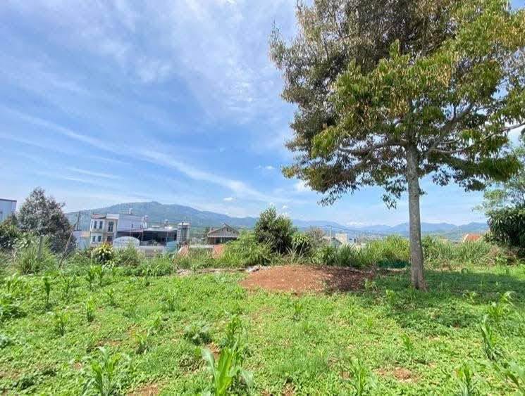 Đất thổ cư mặt tiền hẻm 01 Lữ Gia, Bảo Lộc 210m² giá 2.25 tỷ - Cơ hội đầu tư tuyệt vời!