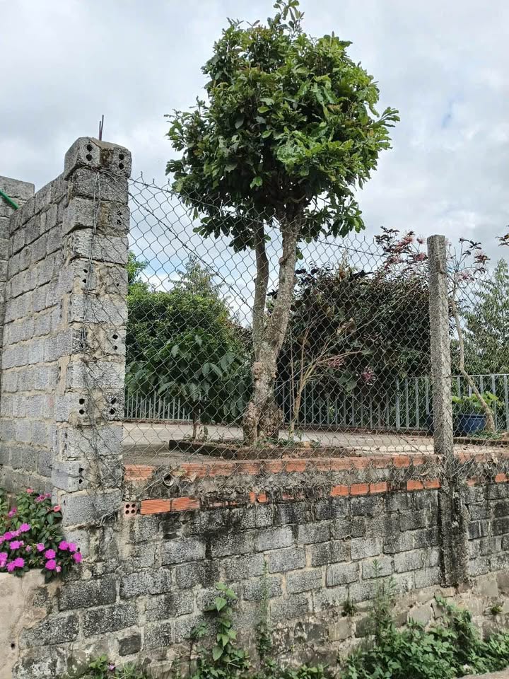 Đất thổ cư Hòa Ninh 7000m² giá 6.5 tỷ - Sổ đỏ chính chủ