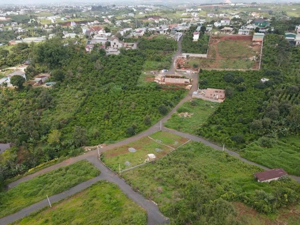 Đất nền Hẻm 278 Mạc Đĩnh Chi P2 Bảo Lộc 230m² giá 1.2 tỷ - Đường ô tô vào tận nơi!