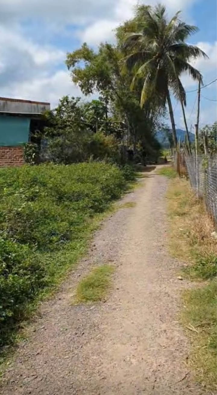 Đất nền Mỹ Phong, Phù Mỹ 400m² giá chỉ 185 triệu - Cơ hội đầu tư không thể bỏ lỡ!