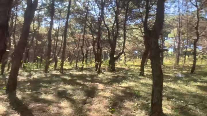 Đất cho thuê 1600m² tại đồi thông Diên Phú, Pleiku - Cơ hội đầu tư hấp dẫn!