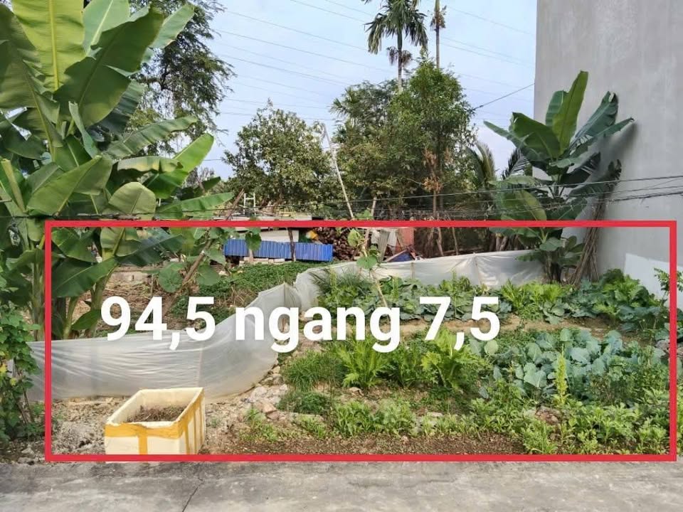 Đất thổ cư Bạch Đằng, Hải Phòng 94,5m² giá 980 triệu - Cơ hội đầu tư hấp dẫn!