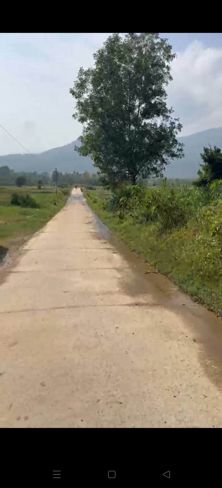 Đất vườn 2000m² tại Tây Giang, Tây Sơn - Cơ hội đầu tư tuyệt vời!