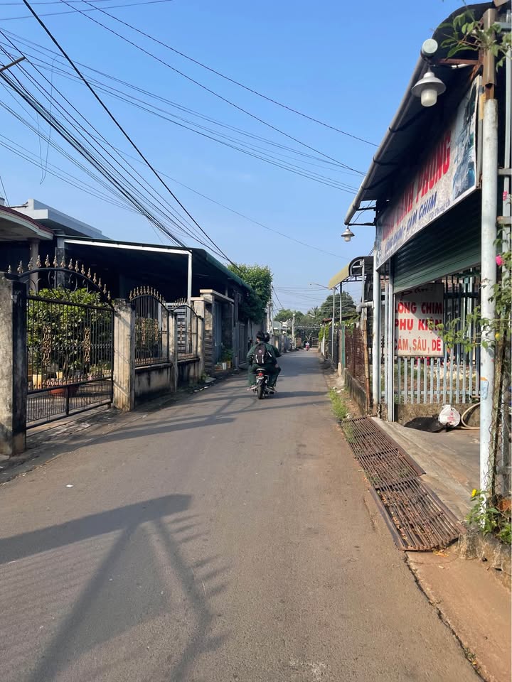 Đất nền khu dân cư Thanh Sơn, Gia Kiệm 297m² giá 1.6 tỷ - Sổ đỏ chính chủ