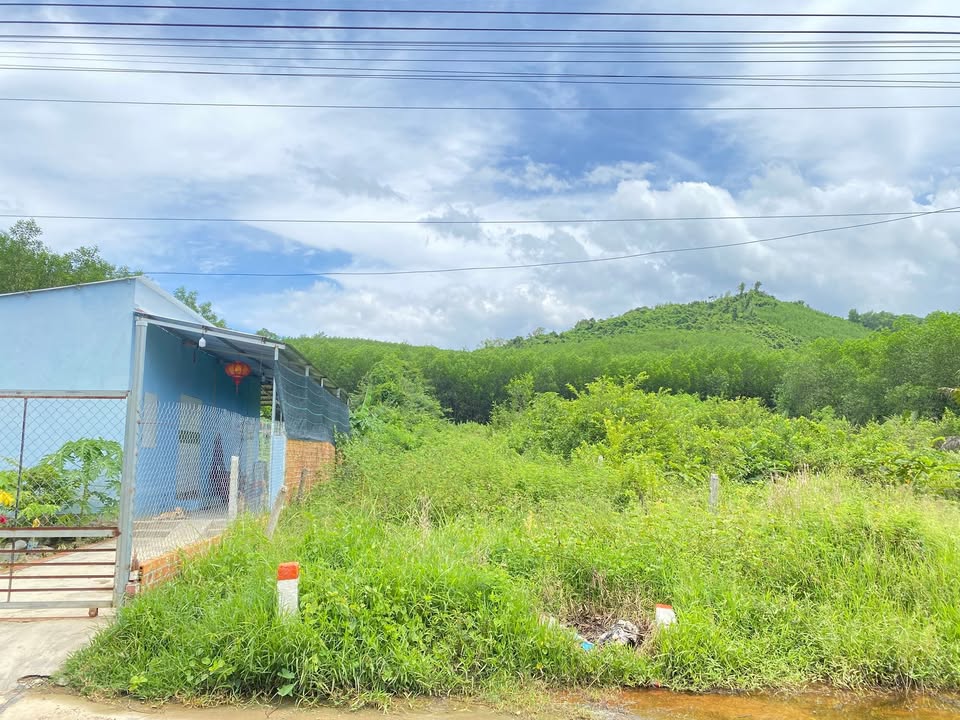 Đất thổ cư 437m² tại Diên Khánh - Giá chỉ 1.399 tỷ, thích hợp cho vườn rau nuôi cá!