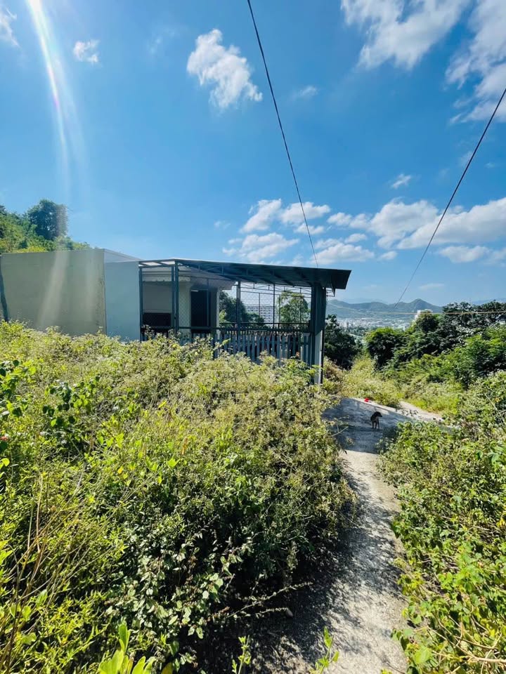 Đất nền chính chủ Phường Vĩnh Hòa Nha Trang 163m² giá 1.1 tỷ - Cơ hội đầu tư tuyệt vời!