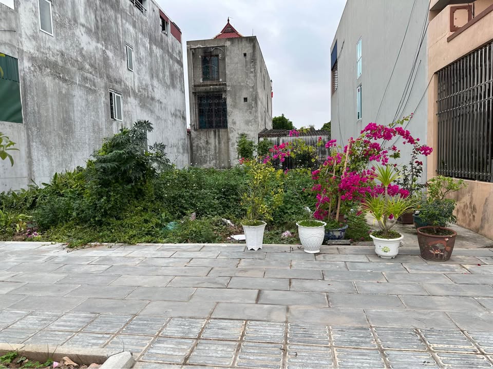 FrontHouse Thanh Niên Đồ Sơn 100m² giá 4 tỷ - Vị trí đẹp cho kinh doanh!