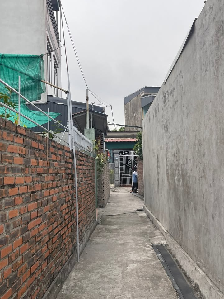 Lô đất Cẩm Phú 63.4m² giá 650 triệu - Vị trí thuận lợi gần trường học