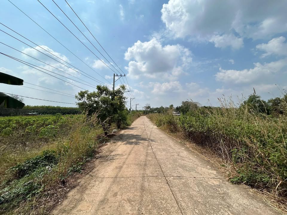 Đất nền 1750m² tại Đường Petong, Huyện Dầu Tiếng - Giá chỉ 2.15 tỷ