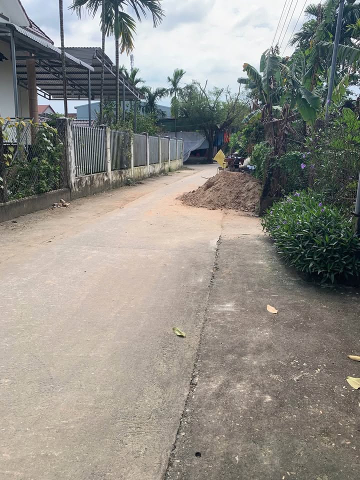 Đất Farm Nghĩa Trung 5400m² giá 1 tỷ - Đầu tư tiềm năng không thể bỏ lỡ!