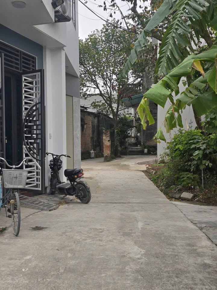 Đất ngõ 194 phố Việt Hòa - 50.8m² giá 1.3 tỷ - Chính chủ bán gấp!