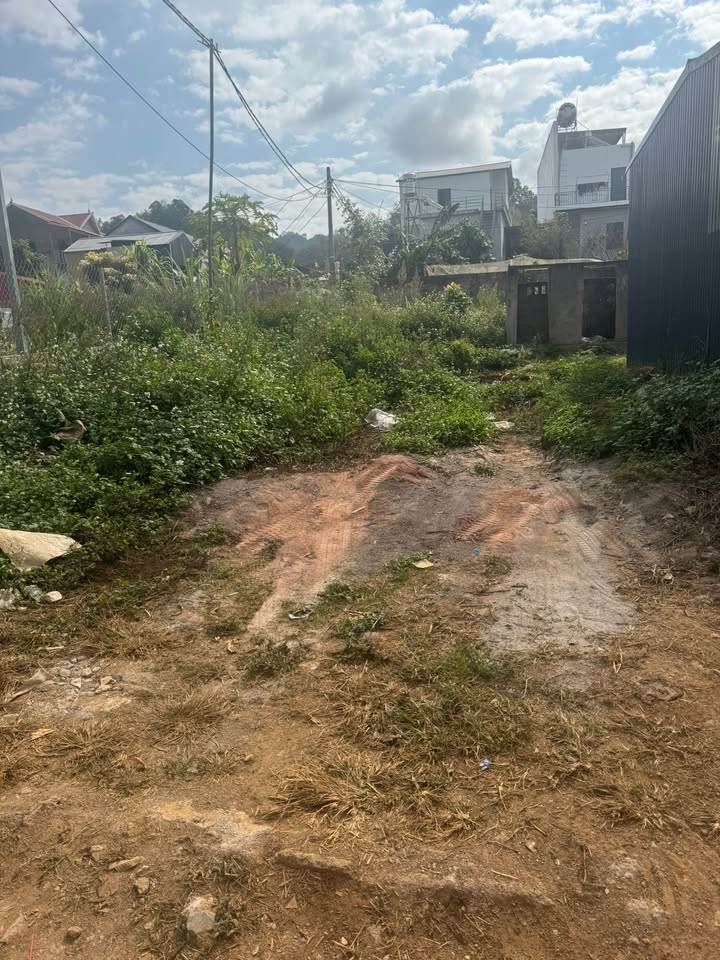 Đất nền đẹp thổ cư 200m² tại Phường Lam Sơn - Giá tốt cho nhà đầu tư!