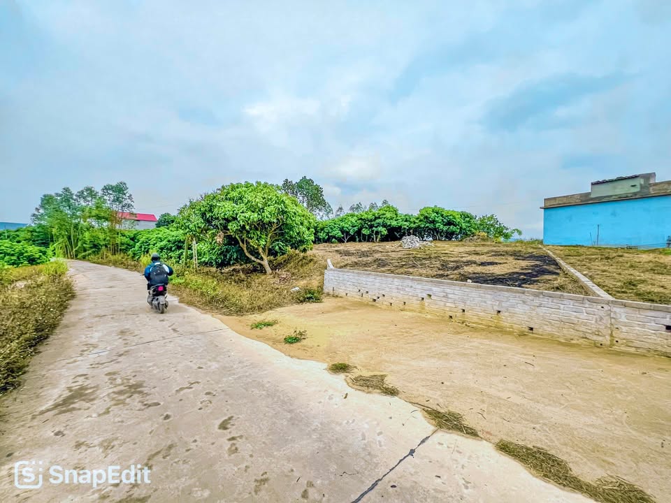 Đất nền Tân Mộc Lục Ngạn 130m² giá chỉ 400 triệu - Pháp lý rõ ràng sẵn sàng chuyển nhượng!