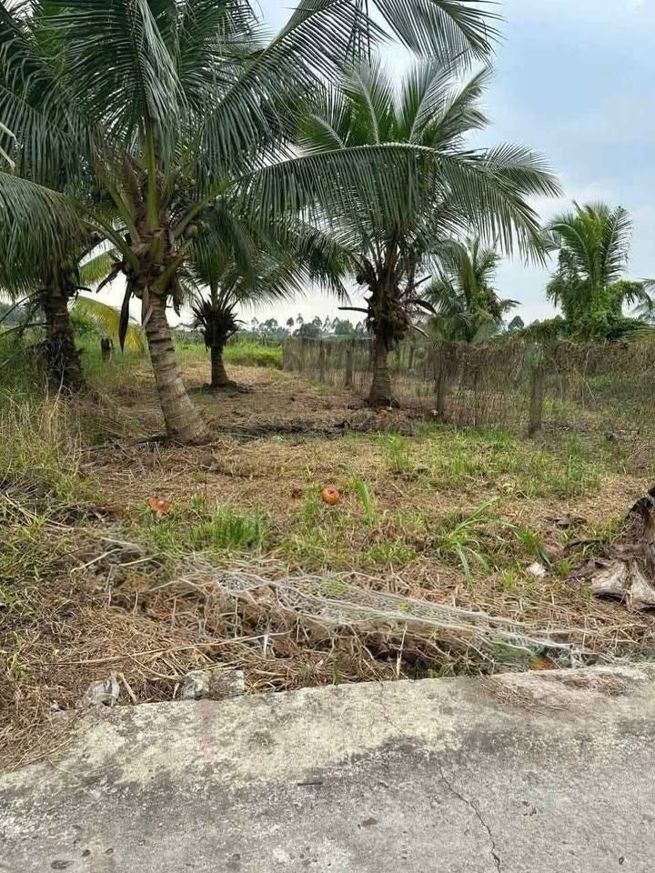 Đất thổ cư 120m² xã Tầm Vu, Tây Ninh - Giá chỉ 420 triệu, sổ hồng chính chủ!