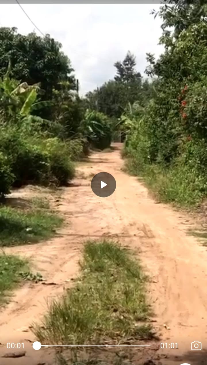 Đất nền Phước An - Phước Vinh 231m² giá 290 triệu - Cơ hội đầu tư tuyệt vời!