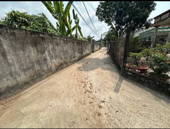 Đất thổ cư Bến Lức 100m² giá thỏa thuận - Đầu tư sinh lời nhanh chóng!