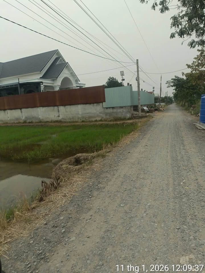 Đất nền 1000m² mặt tiền Đường Cầu Ông Mộc - Giá tốt chỉ 4,2 tỷ!