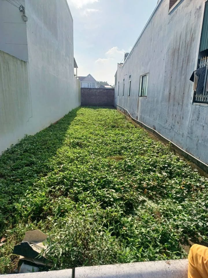 Đất hẻm Nguyễn Minh Đường, Phường 4, Tân An, 135m² - Giá tốt, bớt lộc!