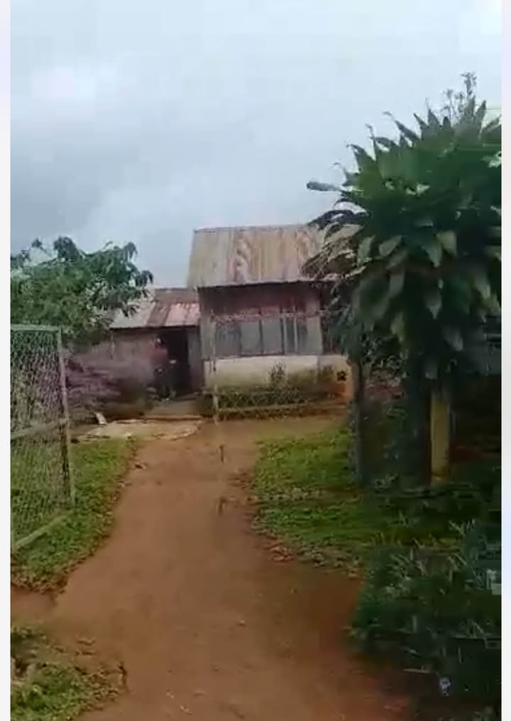 Đất nền thổ cư 1000m² tại hẻm QLO20, xã Bảo Thuận, Di Linh - Giá chỉ 1.8 tỷ!