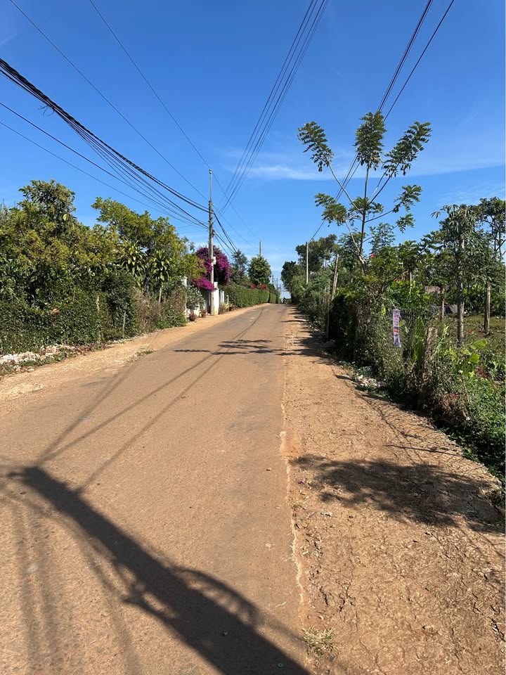 Đất thổ cư Đinh Lạc 2500m² giá 1.1 tỷ - Cơ hội đầu tư hấp dẫn!