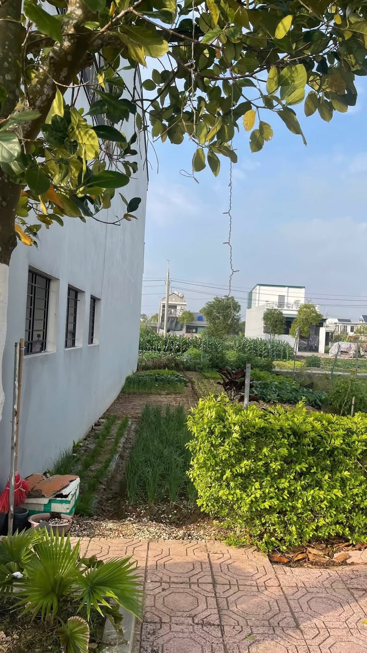 Đất nền xã Vũ An, huyện Kiến Xương, 108m² giá 1.6 tỷ - Đầu tư sinh lời bền vững!