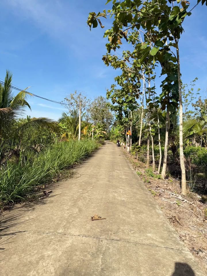 Đất nền 1000m² xã Định Quán - Đồng Nai giá 370 triệu - Đầu tư sinh lời!