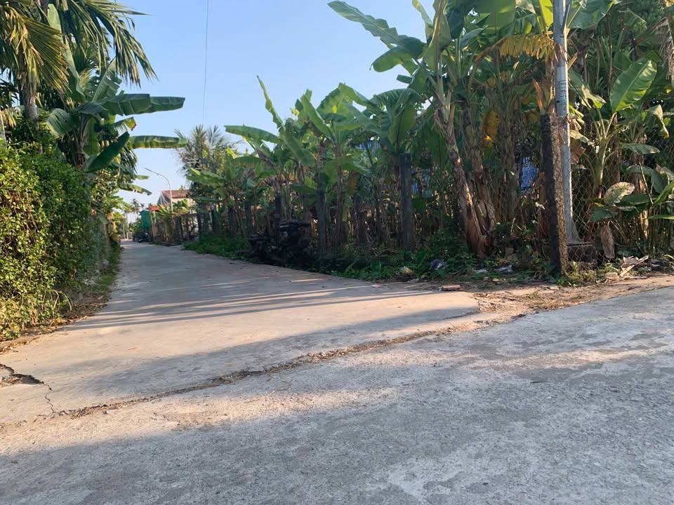 Đất 2 mặt tiền xóm Đông Nghĩa, Hải Hưng 186m² giá 1 tỷ - Đầu tư sinh lời ngay!