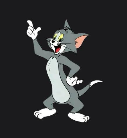 Nhà cấp 4 Thủ Đức 168m² giá 9.1 tỷ - Thương lượng chính chủ