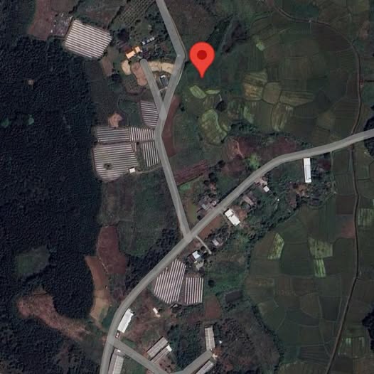 Đất nền LUK, Quận 6, 620m² giá 59 tỷ - Đường bê tông trước nhà!