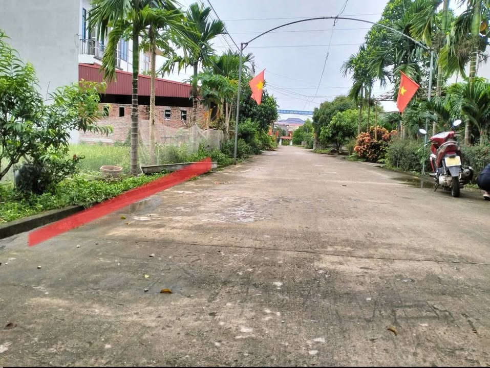 Đất thổ cư Thôn Cầu Đen, Xã Quang Trung, 115m² giá 1 tỷ - Cơ hội đầu tư tuyệt vời!