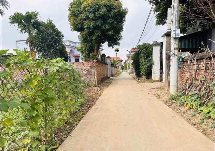 Lô đất Lôi Châu, An Thịnh 93.5m² giá 1.68 tỷ - Cơ hội đầu tư hiếm có!