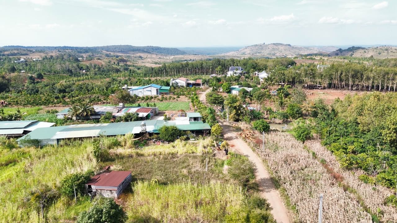 Đất thổ cư Thôn 9, Đắk N'Drót 1584m² giá 1.2 tỷ - Đầu tư sinh lời hấp dẫn!