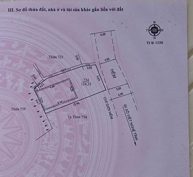 Đất nền đường Xô Viết Nghệ Tĩnh Đà Lạt 124m² giá 5.6 tỷ - Đầu tư sinh lời cao!