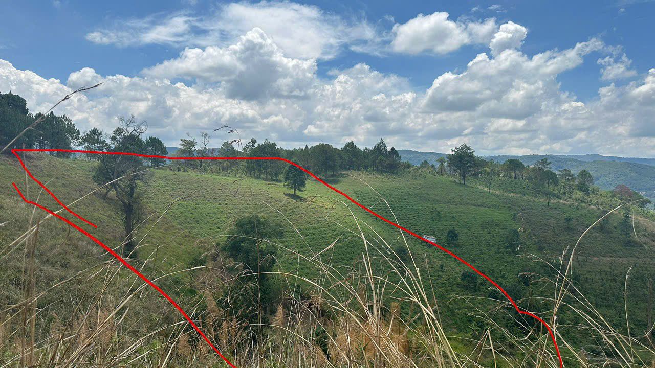 Đất Farm 2160m² tại Mongoland - Cho thuê giá chỉ 60 triệu/năm