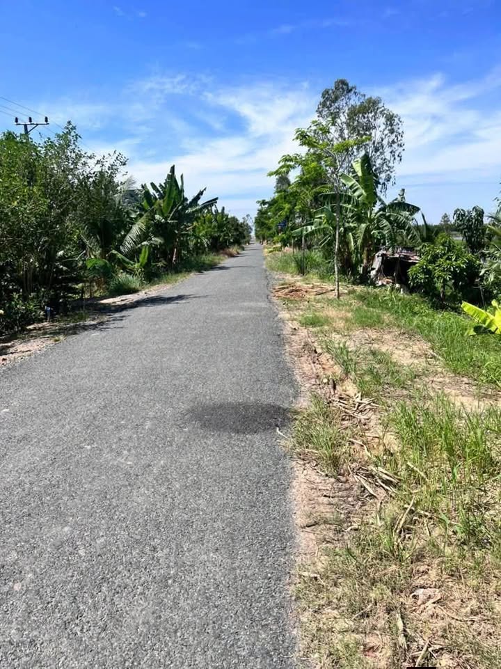 Đất thổ cư 1.500m² và đất ruộng 17.500m² tại Xã Tân Mỹ - Giá chỉ 3.4 tỷ!