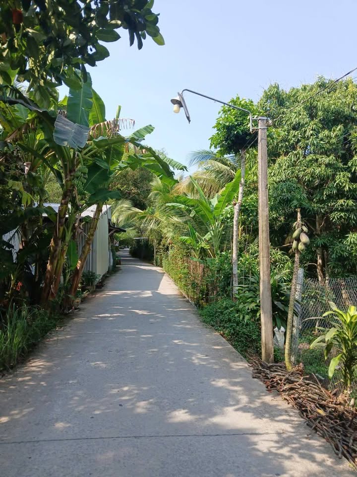 Đất nền Lộ Đan - Phong Hòa 196m² giá 420 triệu - Sổ hồng chính chủ!