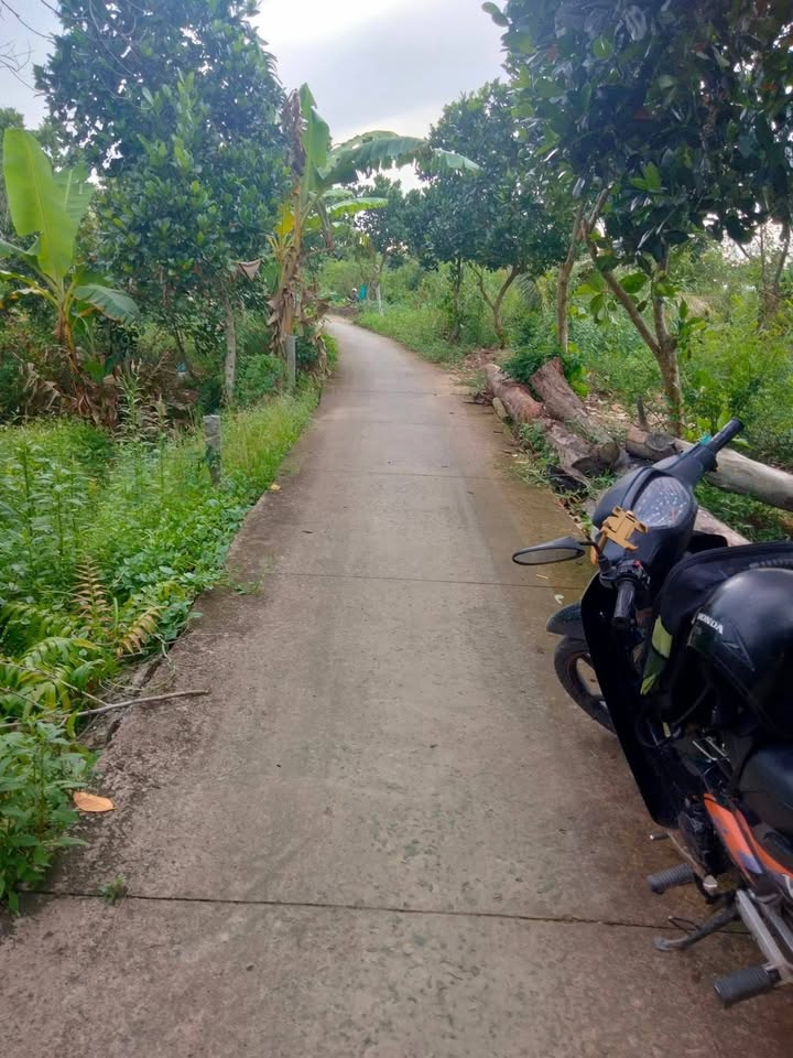 Đất nền 145m² tại xã Thanh Hưng, Đồng Tháp - Giá chỉ 490 triệu, cơ hội đầu tư tuyệt vời!