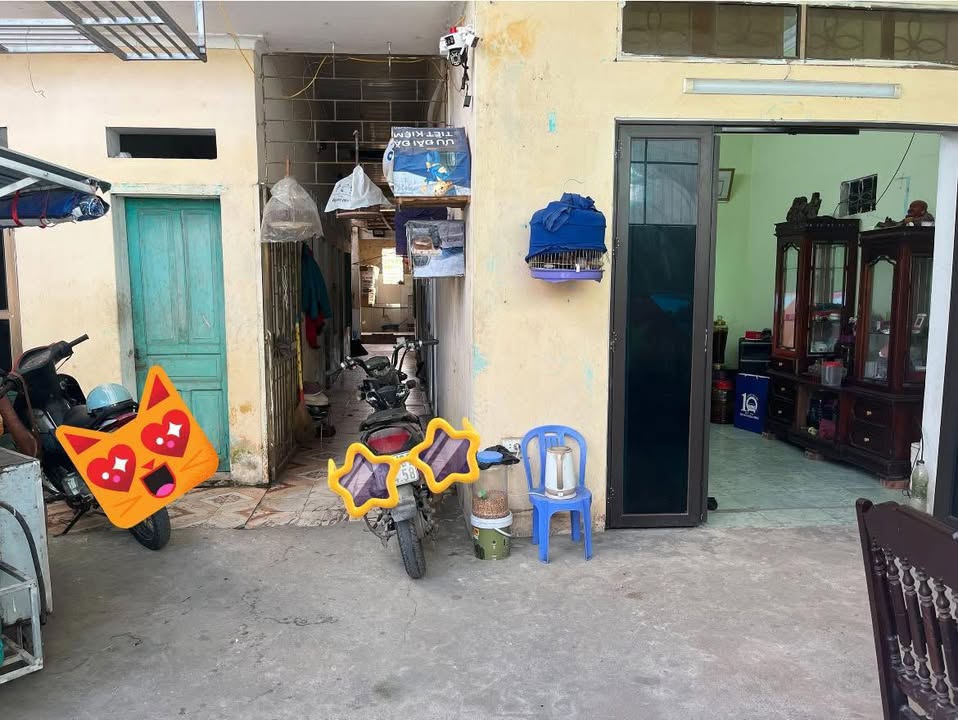 Đất nền Xã Đông Thanh 160m² giá thỏa thuận - Kinh doanh phòng trọ sinh lời ngay!