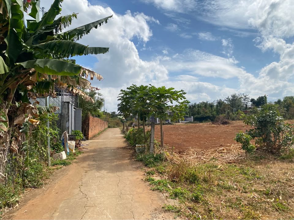 Đất thổ cư Hẻm B5, Xã Cưebur, 125m² giá 1.25 tỷ - Cơ hội đầu tư hấp dẫn!