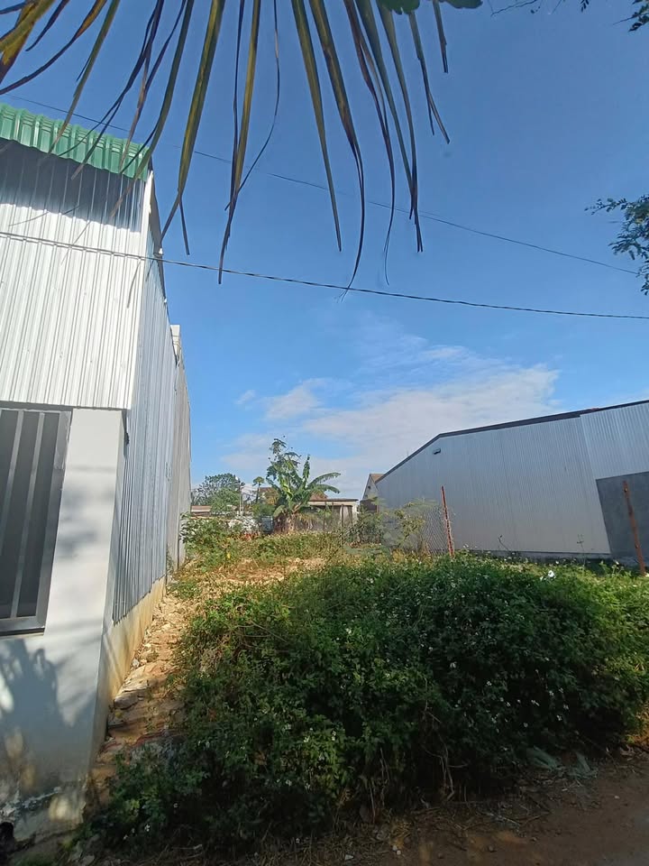 Đất nền thổ cư 100% tại Xã Ea Kao 107m² giá 1.35 tỷ - Cơ hội đầu tư hấp dẫn!