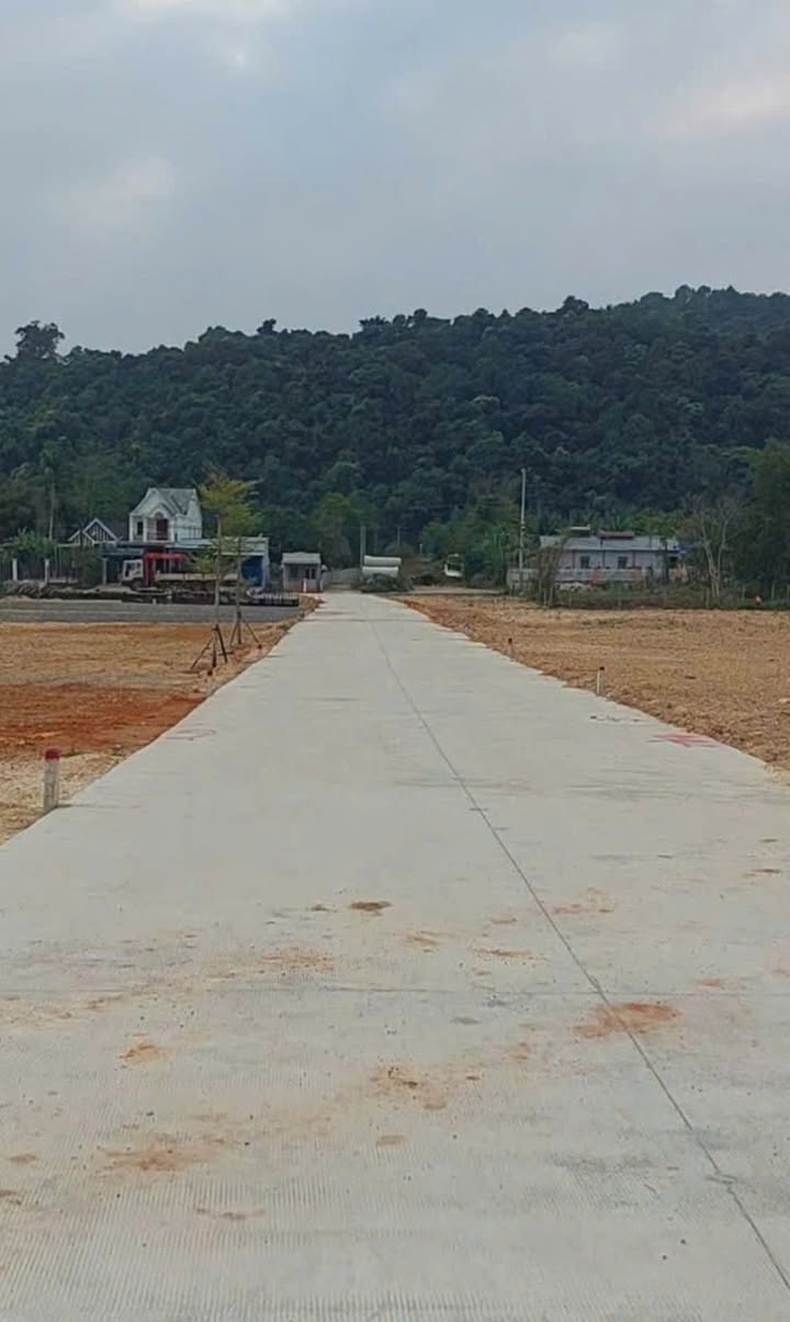 Đất nền 500m² Cây Thông Ngoài, Phú Quốc giá 2 tỷ - Đầu tư nhanh chóng!