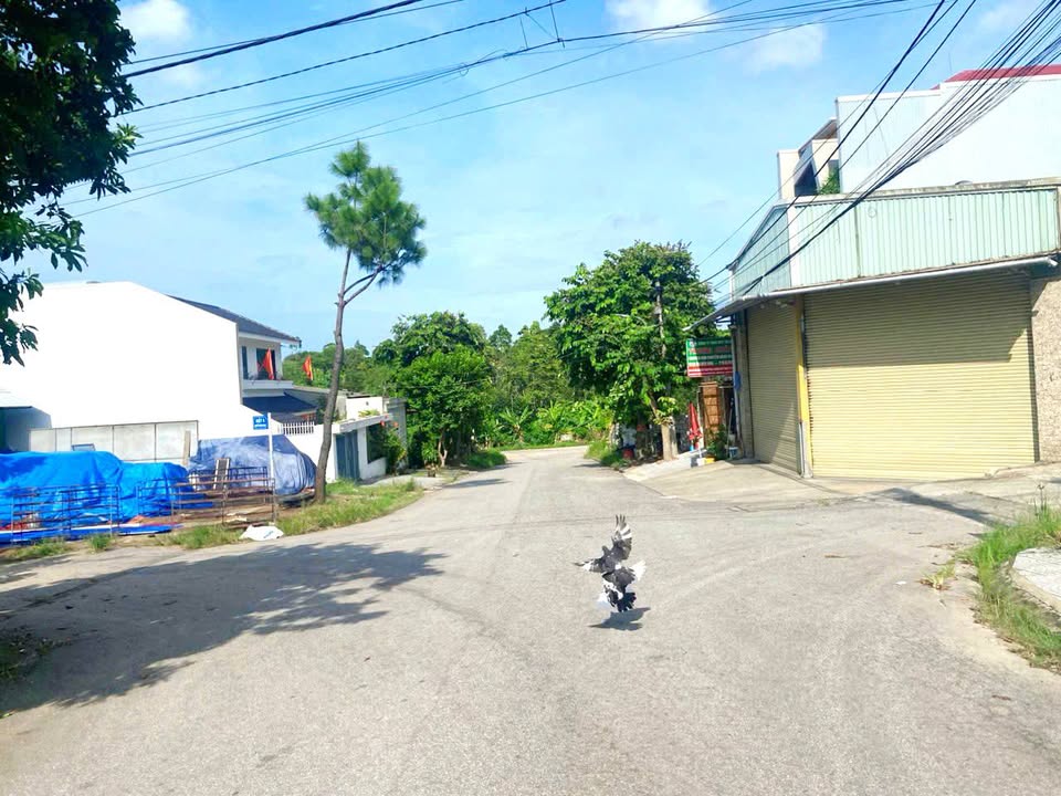 Đất nền Nguyễn Trung Ngạn, Thủy Xuân 108m² giá 2 tỷ - Cơ hội đầu tư hấp dẫn!