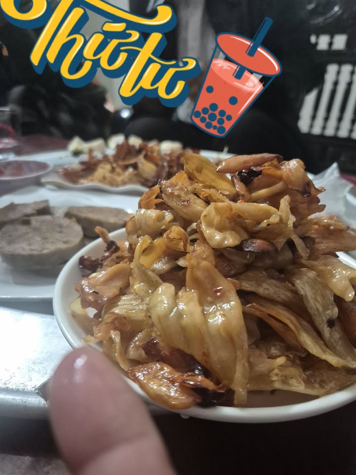 Đất nền Cẩm Trung 160m² giá chỉ từ 4xx triệu - Đường rải thảm 7m