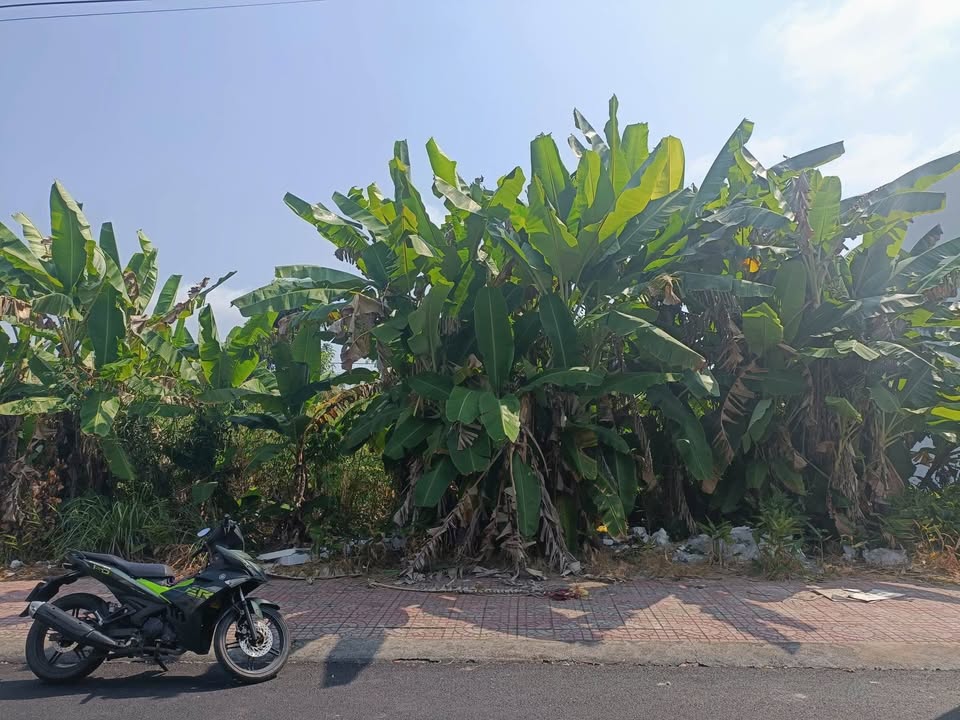 Đất nền KDC Licogi, Bạc Liêu 93m² giá 1.3 tỷ - Đối diện công viên và trường học!